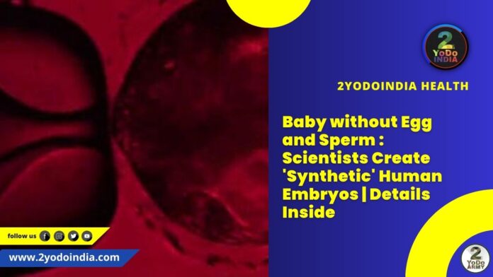 Baby without Egg and Sperm : Scientists Create 'Synthetic' Human Embryos | Details Inside | 2YODOINDIA