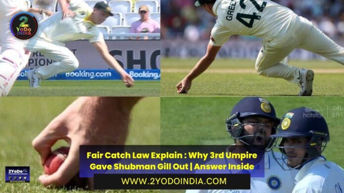 Fair Catch Law Explain : Why 3rd Umpire Gave Shubman Gill Out | Answer Inside | 2YODOINDIA
