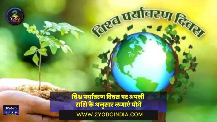 Plant Trees According to Your Zodiac Sign on World Environment Day | Know Full Details | 2YoDo Special | विश्व पर्यावरण दिवस पर अपनी राशि के अनुसार लगाएं पौधे | जानिए पूरी जानकारी | 2YoDo विशेष | 2YODOINDIA