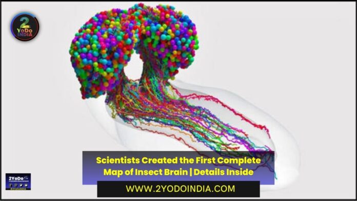 Scientists Created the First Complete Map of Insect Brain | Details Inside | 2YODOINDIA