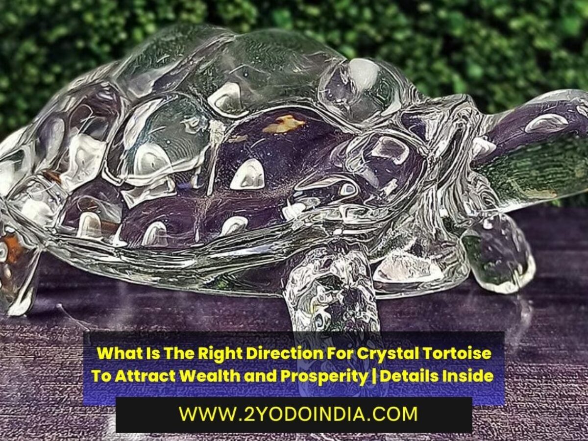 What Is The Right Direction For Crystal Tortoise To Attract Wealth and Prosperity Details Inside