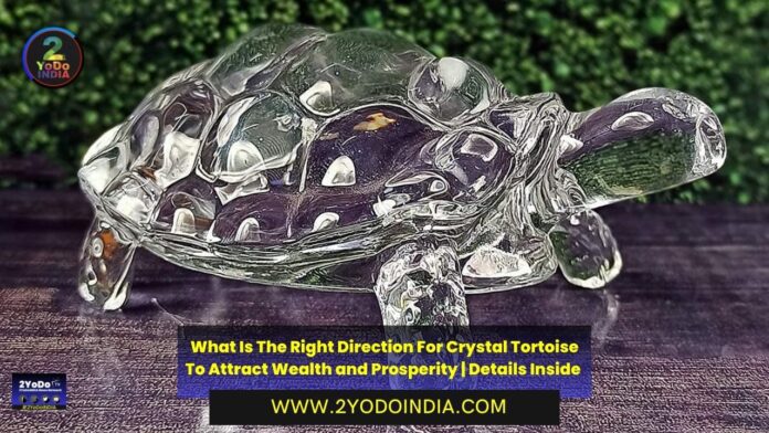 What Is The Right Direction For Crystal Tortoise To Attract Wealth and Prosperity | Details Inside | Where to Place Crystal Tortoise | Benefits of Crystal Tortoise | 2YODOINDIA